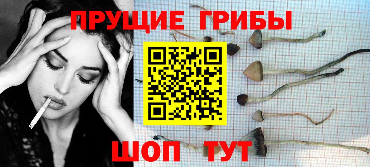 Псилоцибиновые грибы мицелий  Вход с VPN  Псилоцибиновые грибы прущие грибы  Новоуральск 